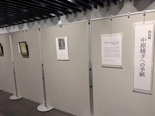 PXL_20251106_042414440.MP