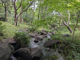 PXL_20250816_050356537.MP