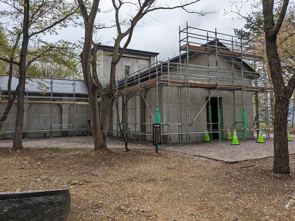 PXL_20240422_003652935