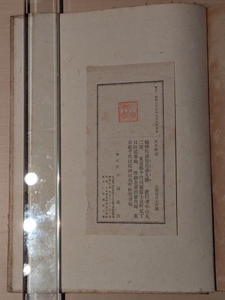 PXL_20260411_105354220