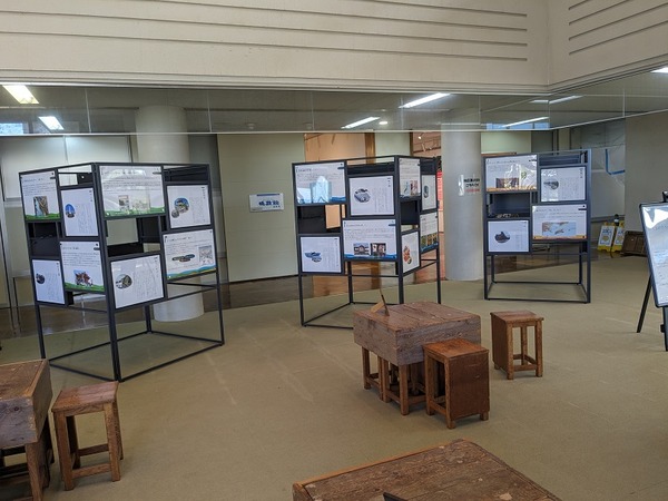 PXL_20231114_022001892