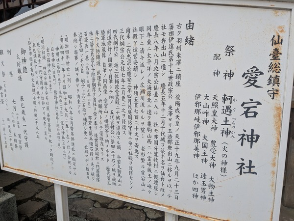 inbound8844533716368637192