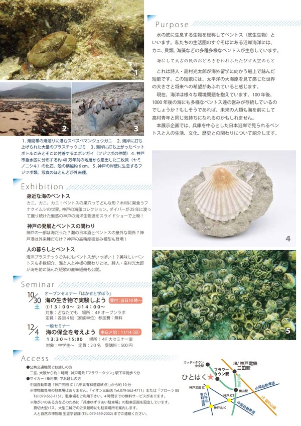 短歌 高村光太郎連翹忌運営委員会のblog 短歌 高村光太郎連翹忌運営委員会のblog