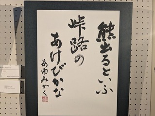 PXL_20260221_050142868