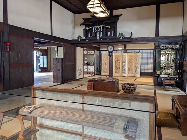 PXL_20251107_031041615