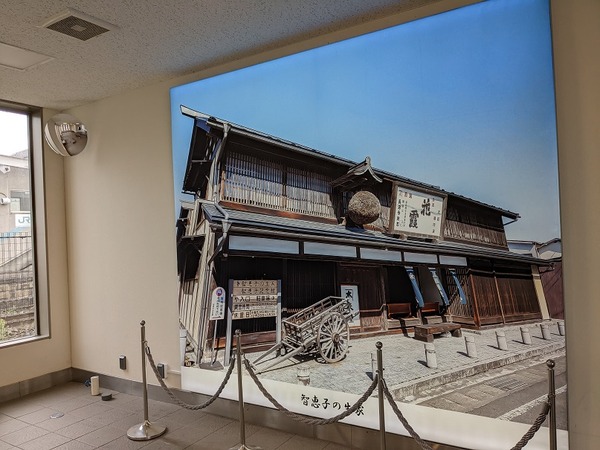 PXL_20221009_014047429