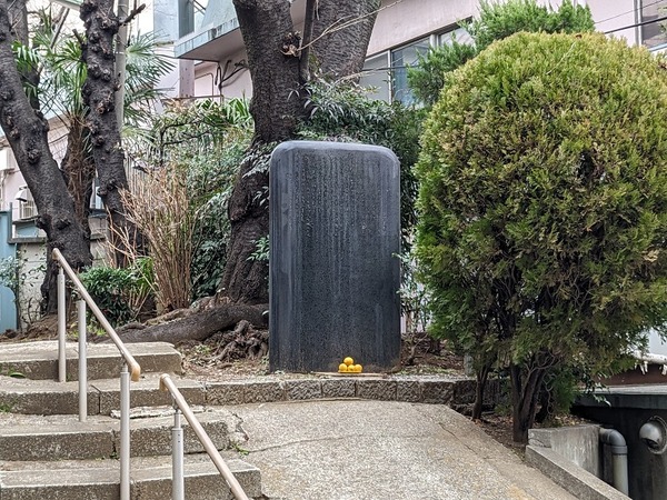 PXL_20230219_024536122