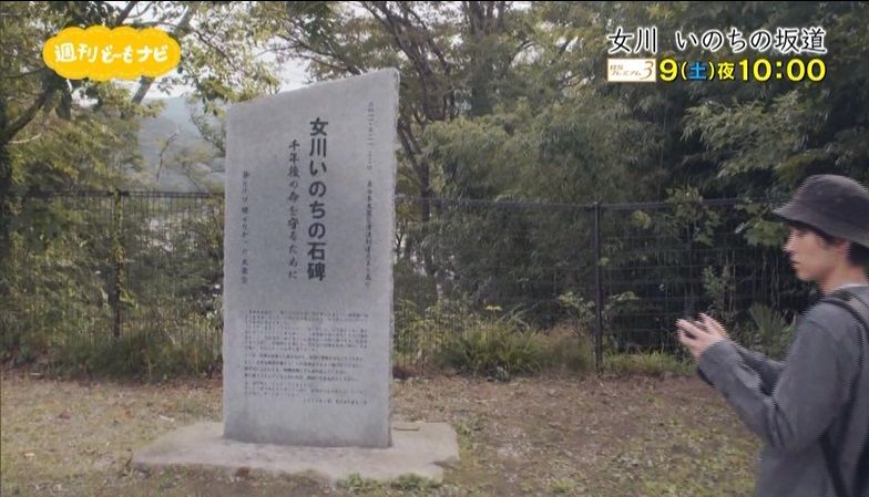 イメージ 5