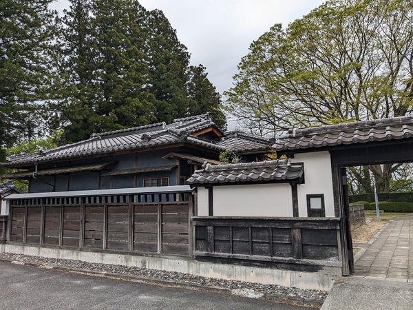 PXL_20240421_014524269