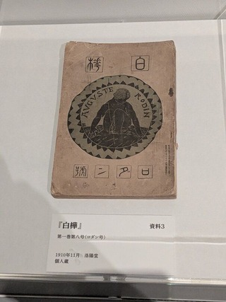 PXL_20260117_022353825