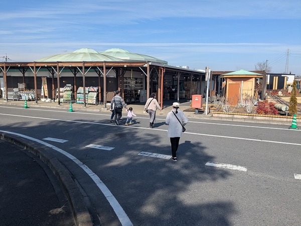 PXL_20260214_033244630