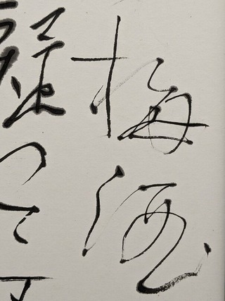 PXL_20230219_013055462