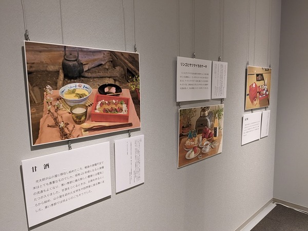 PXL_20221203_041902227