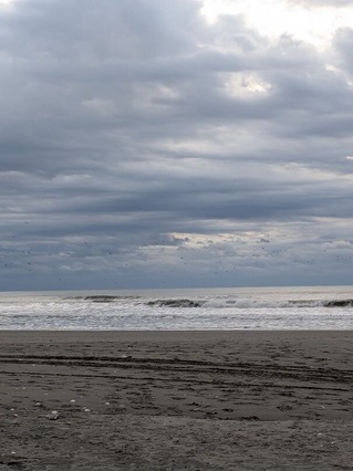 PXL_20251231_215502541