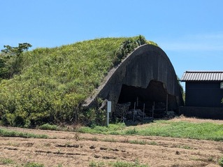 PXL_20250815_020428453