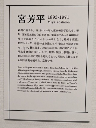 PXL_20260117_022537220.MP