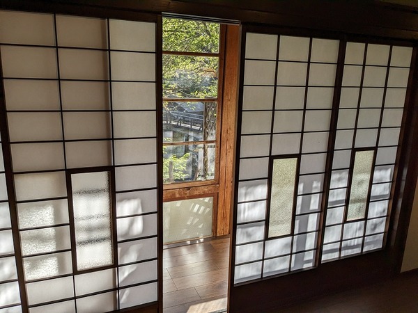 PXL_20230427_070219707