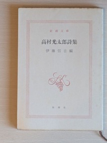 PXL_20260512_234059931