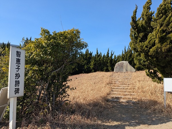 PXL_20260130_030446640