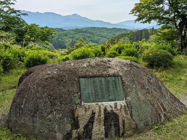 PXL_20240519_032931403