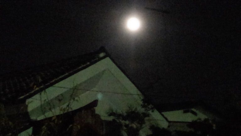 イメージ 21