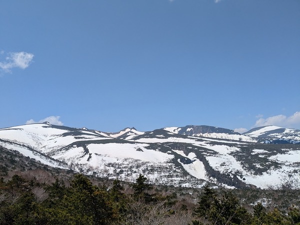 PXL_20250426_021830804