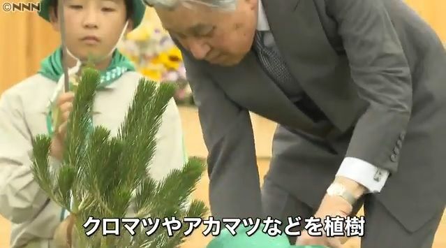 イメージ 33