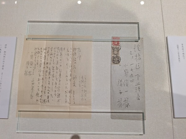 PXL_20250620_070542239