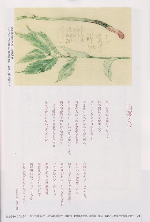 イメージ 6