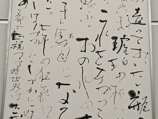 PXL_20230219_013031509