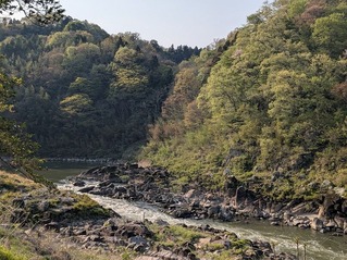 .trashed-1748371914-PXL_20250426_065238036.MP