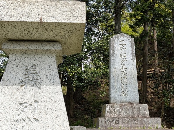 PXL_20250428_022529058