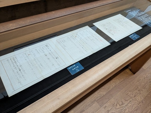 PXL_20250422_045553430.MP