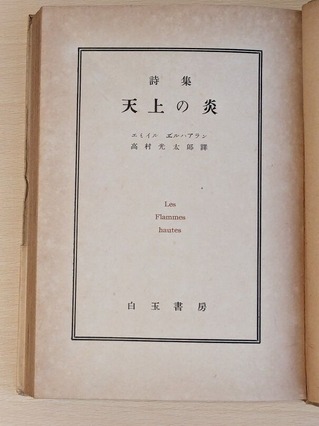 PXL_20260201_010208515