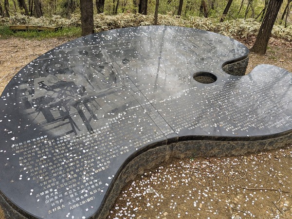 PXL_20240422_003702967