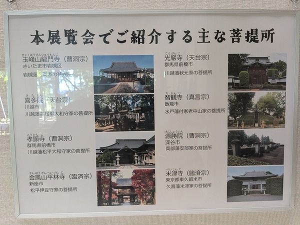 PXL_20251103_000559203