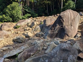 PXL_20250808_232409357