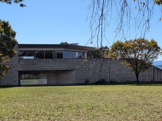 PXL_20251028_021351883.MP