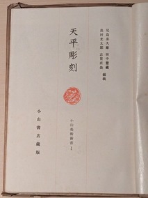 PXL_20260411_104956245
