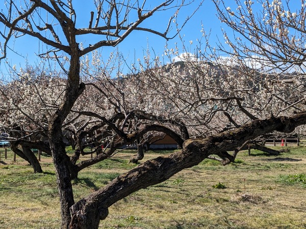 PXL_20240227_020507405