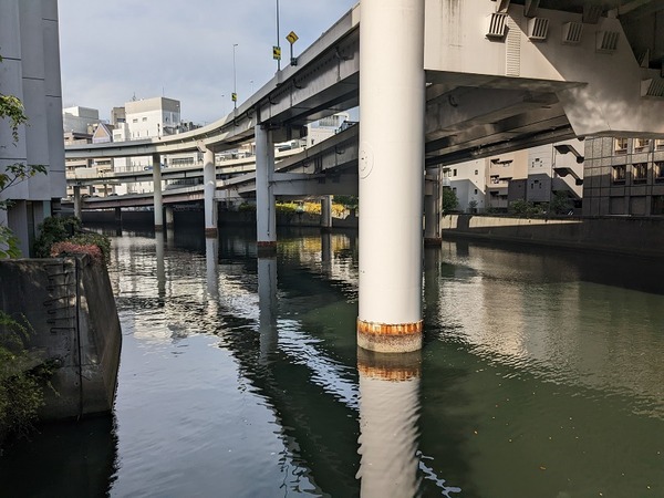 PXL_20221110_042608932