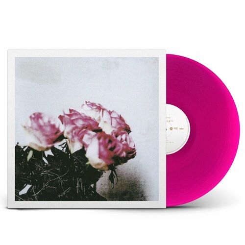 Minuano「Love Logic」カラーLP。 : 高村光太郎連翹忌運営委員会のblog