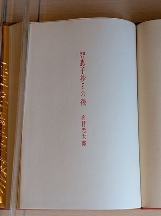 PXL_20260201_005255280