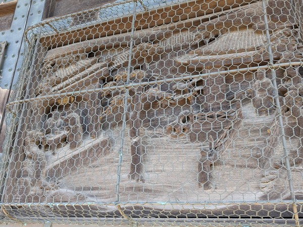 PXL_20231130_043230920