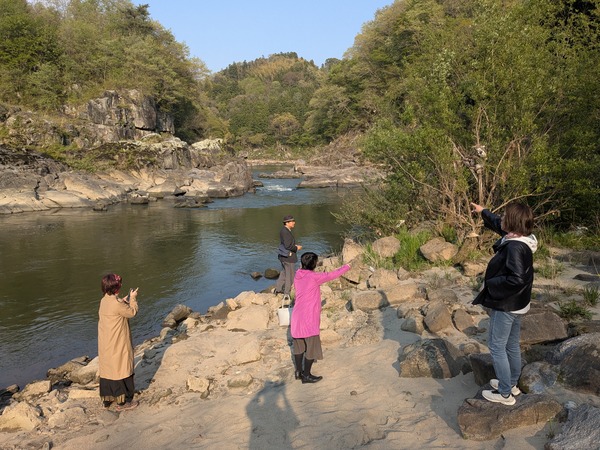 inbound4566861891318018255