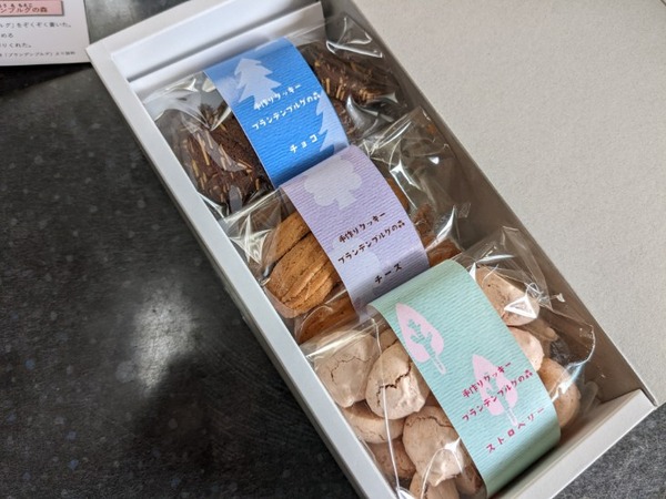 PXL_20221107_022108359