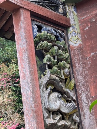 PXL_20250312_012813790.MP