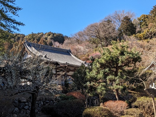 PXL_20240227_044255951