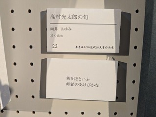 PXL_20260221_050147302