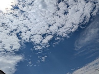 PXL_20240703_004428499